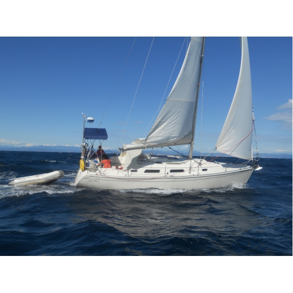 Yacht&nbsp;Hanse&nbsp;Hanse 341&nbsp;Italien&nbsp;Mittelmeer&nbsp;Bild 1